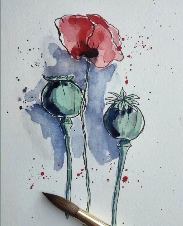 Mohnblumen Aquarell  mit Feinliner