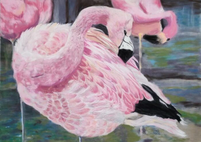 Flamingos im Wasser - Tierportrait in Pastell