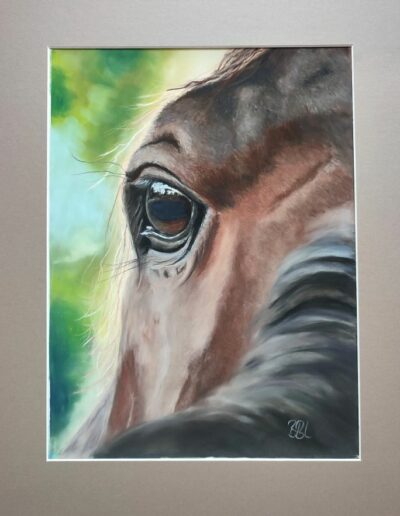 Tierportrait in Pastell - Pferdekopf mit Blick über die Schulter