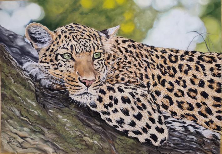 Wild Live Portrait in Pastell Leopard liegen auf Baumstamm