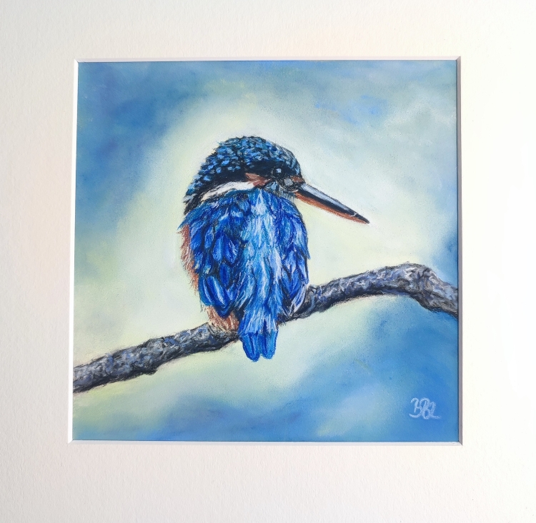 Eisvogel Pastellportrait - Ein Eisvogel sitzt auf einem Zweig, Der Hintergrund ist in hellen Blautönen gehalten