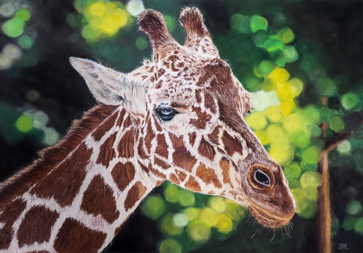 Giraffe-im-Dickicht-Wildlifeportrait-in-Pastell Giraffe im Dickicht - Pastellportrait