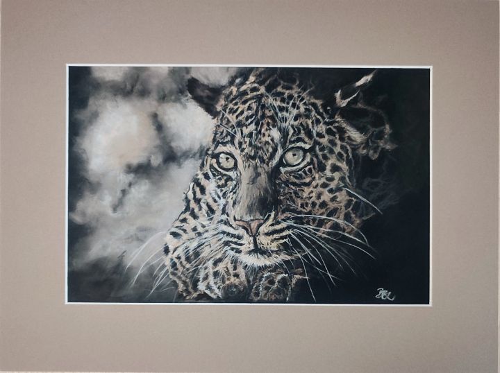 Waschbär in Pastell