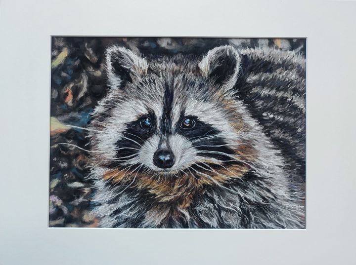 Waschbär in Pastell